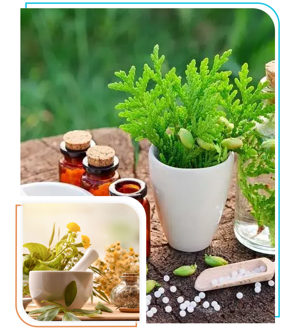 plant medicine